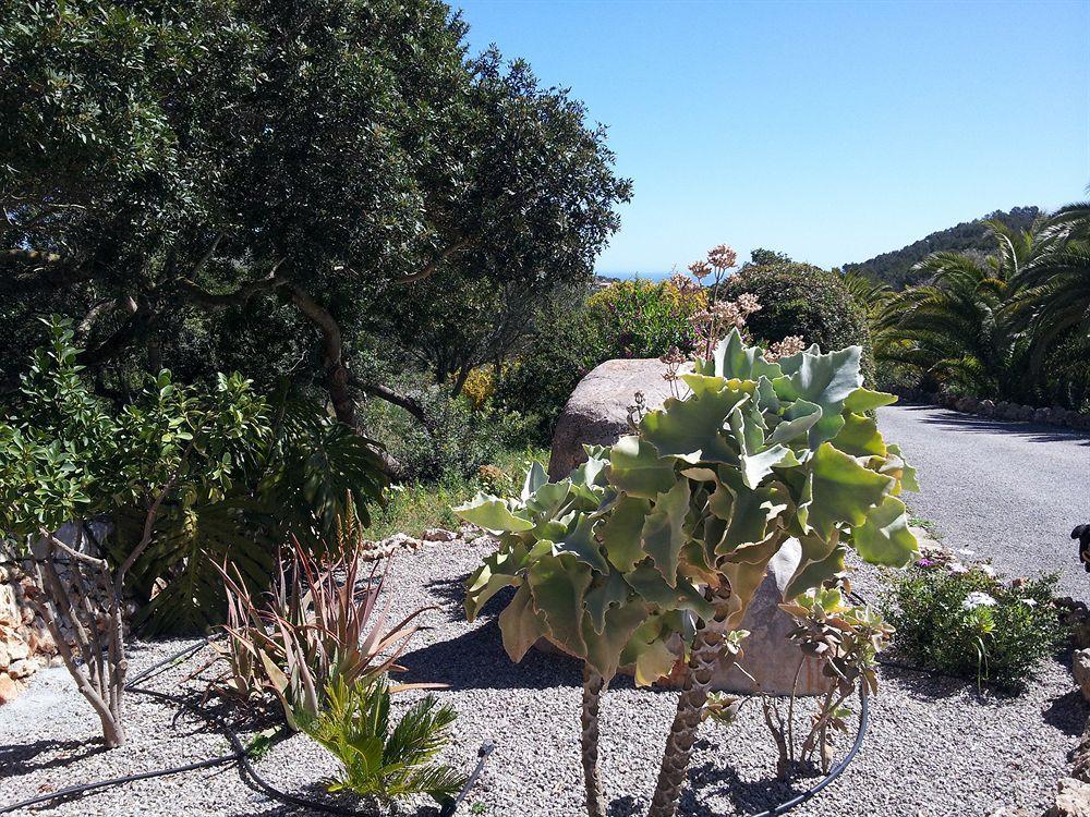 Agroturisme Es Picot Son Macia  Exterior photo