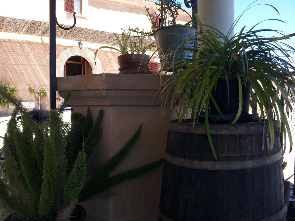 Agroturisme Es Picot Son Macia  Exterior photo